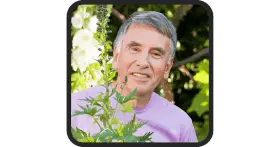 Prosta peak Testimonials